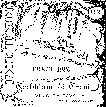 Trevi, Italy. Etichetta del vino Trebbiano.