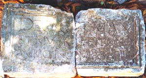 Trevi, Villa Fabbri, Epigrafe di Muzio Petroni