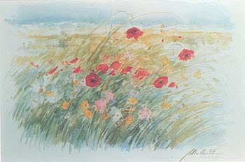 Altavilla Palini - Campo di papaveri 1997