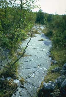 Trevi, Italy. Manciano, voc. Elceto. Antica cava di pietra per mole.