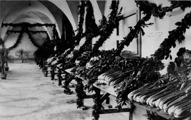 Trevi, Italy. Portici del Palazzo comunale, Mostra del Sedano Nero., 1948.