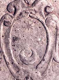 Trevi, Stemma famiglia Celi, N41411