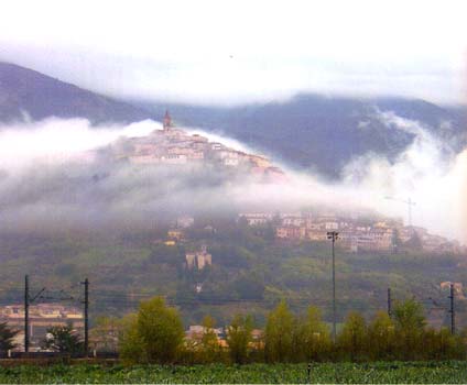 Sedano Nero di Trevi - Campo di sedani in ottobre