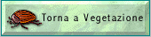 TornaVege.GIF (4014 byte)