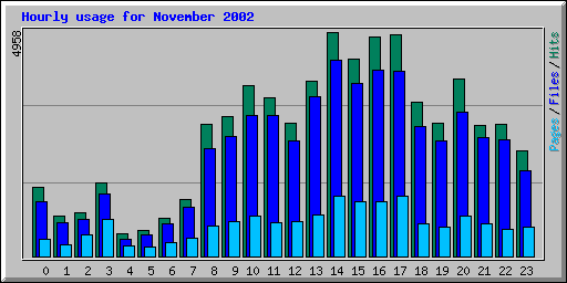 Hourly usage for November 2002