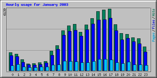 Hourly usage for January 2003