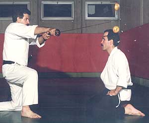 Yamsh11.JPG (14330 byte)